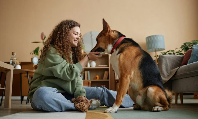 Happy Girl Giving medicine tablet To Pet Dog in Home Together